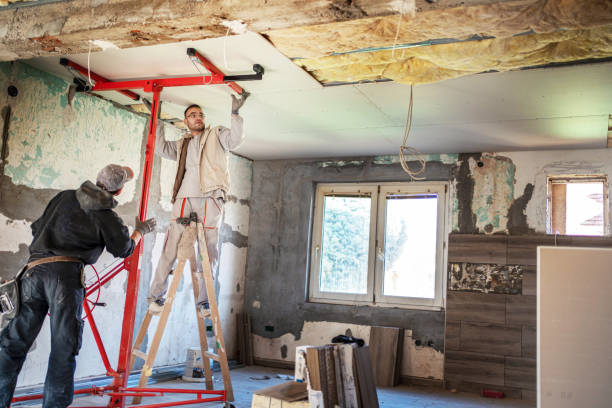 Best Insulation Contractor Near Me  in Muscle Shos, AL