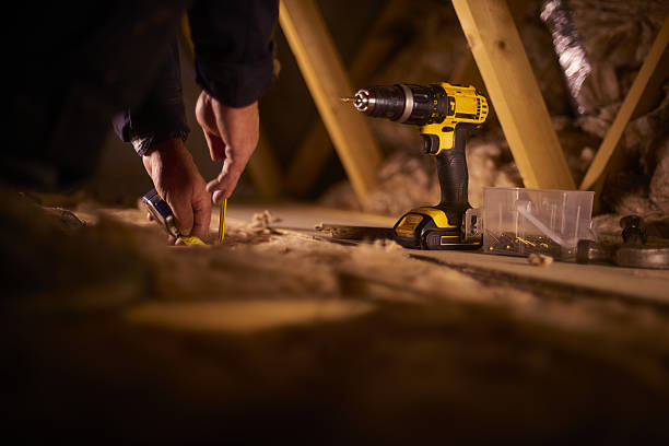 Best Home Insulation Services  in Muscle Shos, AL
