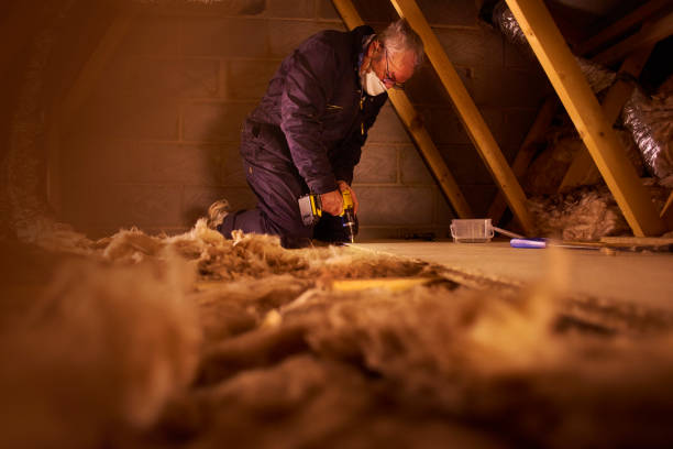 Best Attic Insulation Installation  in Muscle Shos, AL